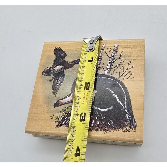 STAMPA ROSA RUBBER STAMP Ducks 300-41 Wood Duck New Michaelsen 1999 - Picture 2 of 11